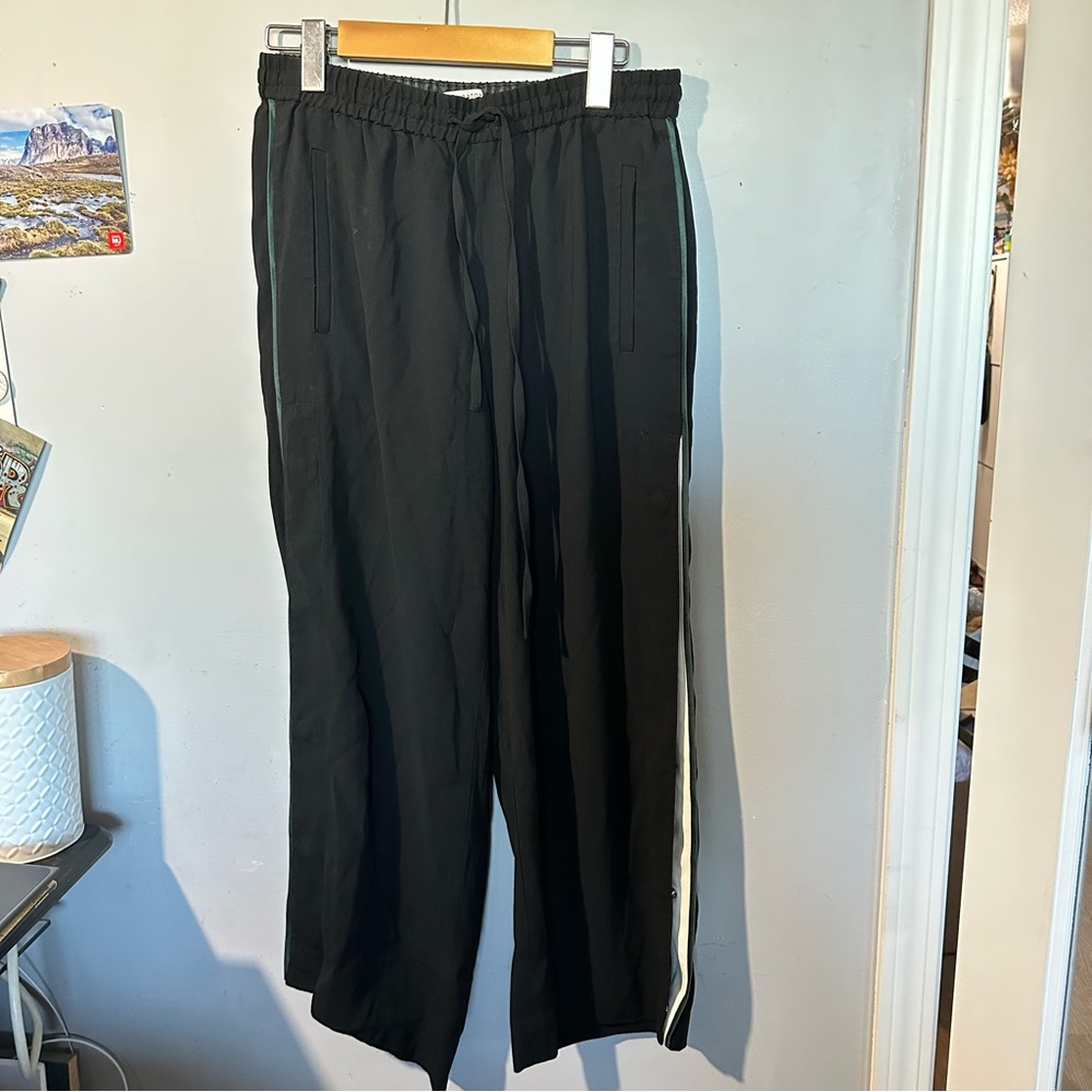 Aritzia | BABATON Athleisure “Tearaway” Pants - Picture 2 of 9